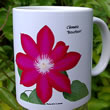 mug DS-114 Clematis 'Bourbon'  7161.jpg